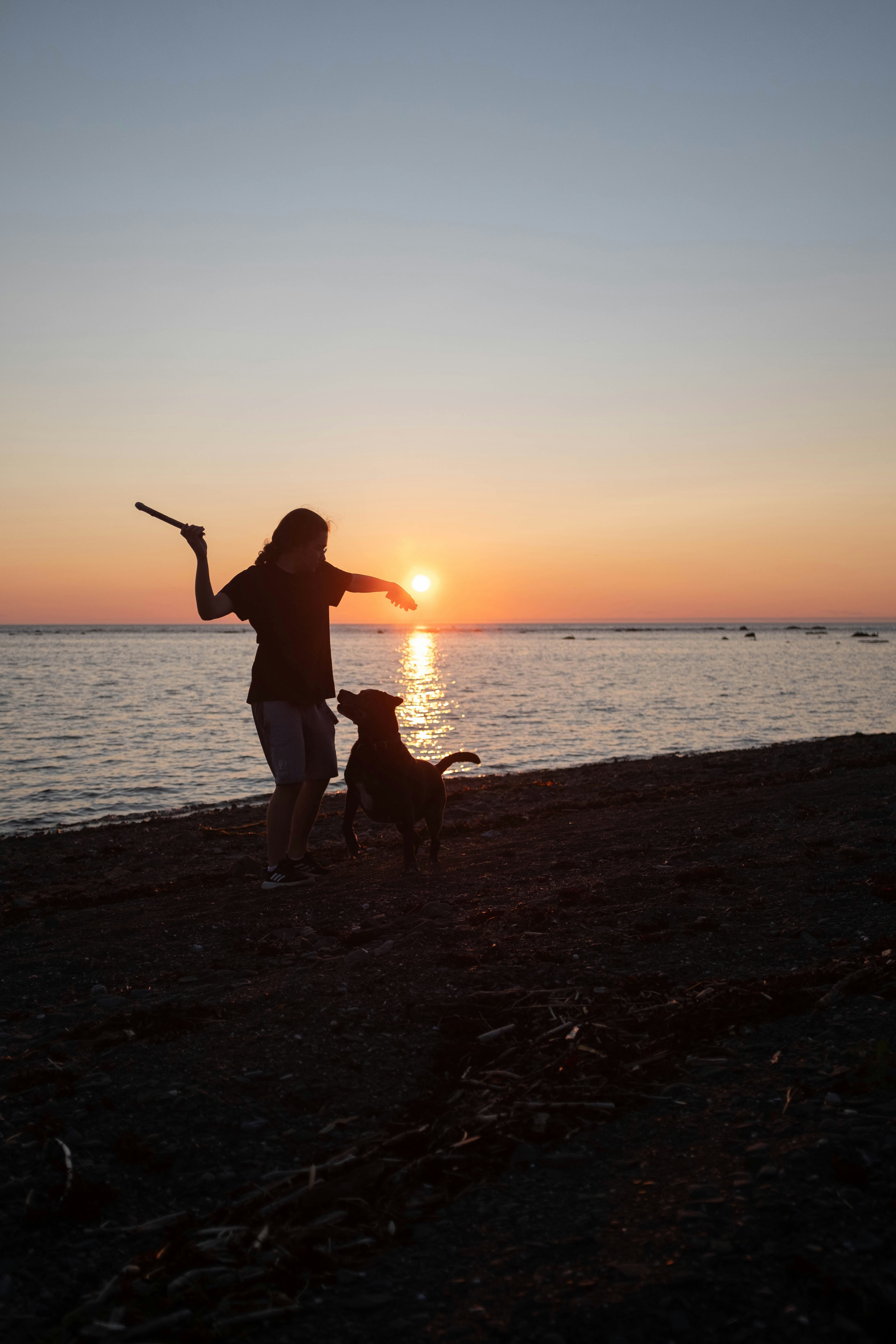 silhouette of woman and dog on beach during sunset